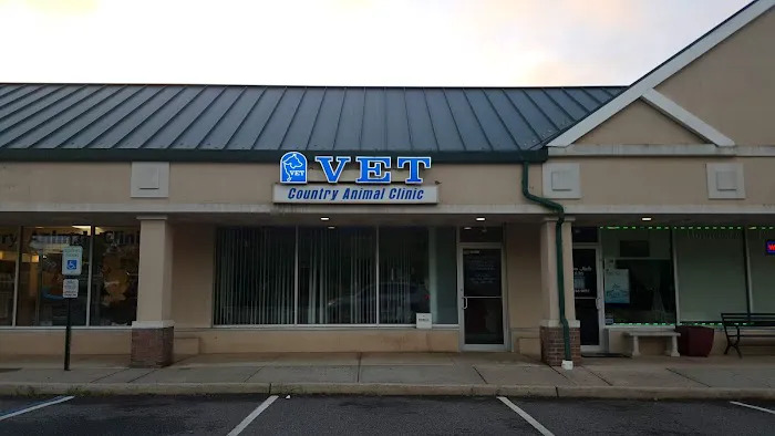 Country Animal Hospital Picture 3