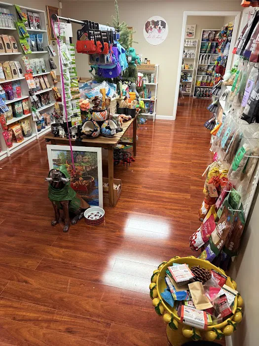 Lex&Levie Picture 10