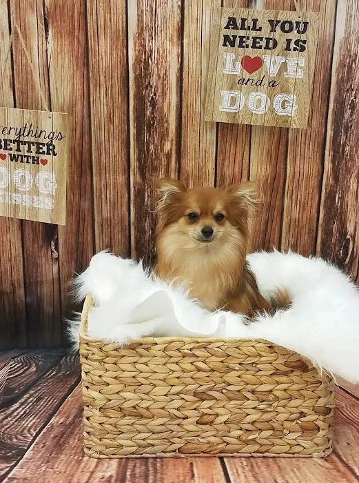Petland Robinson Picture 1