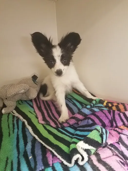 Petland Robinson Picture 2