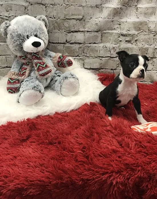 Petland Robinson Picture 5