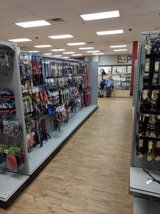 Petland Robinson Picture 3