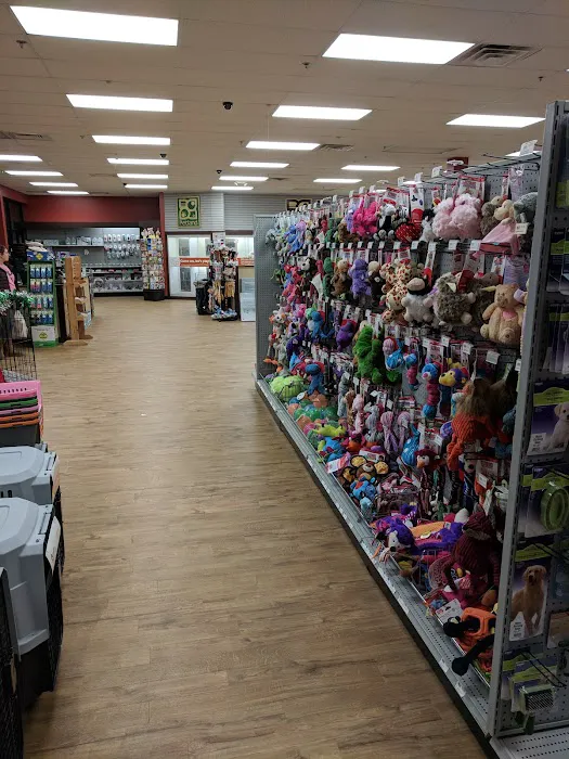 Petland Robinson Picture 4