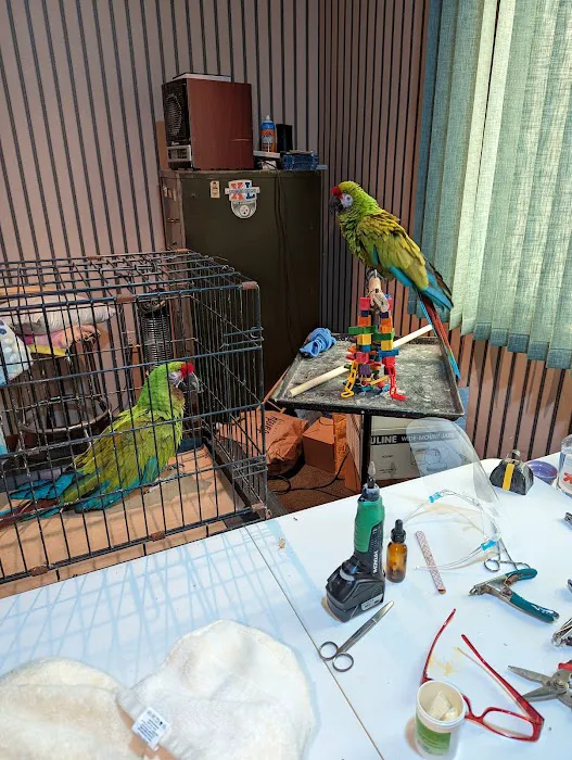 Pretty Birds, LLC Picture 1