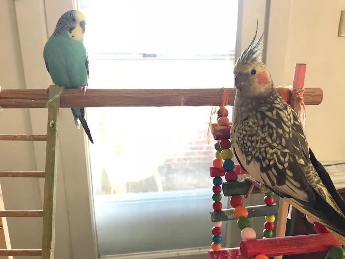 Pretty Birds, LLC Picture 5