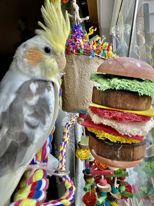 Pretty Birds, LLC Picture 6
