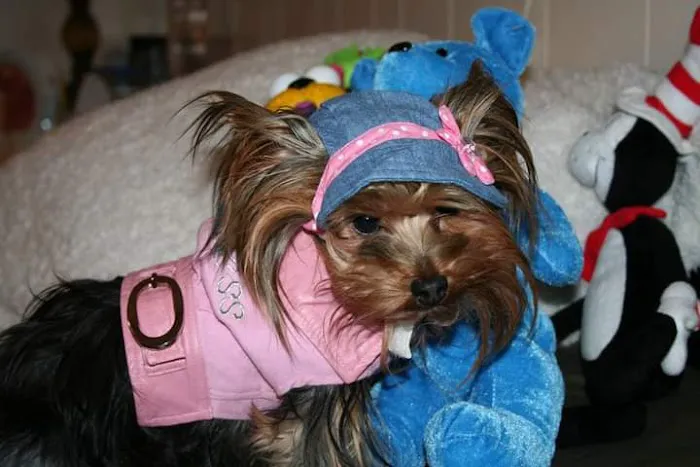 Green Brook Animal Hospital Picture 1