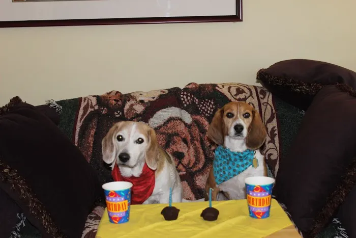 Cedar Lane Animal Clinic Picture 5