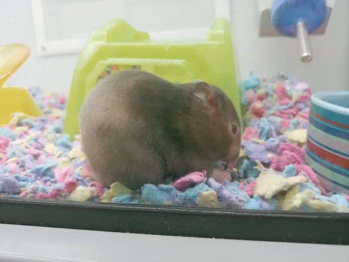Petco Picture 5