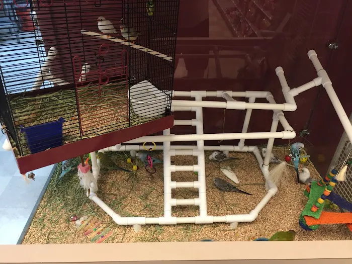 Petland Village of Eastside Picture 2