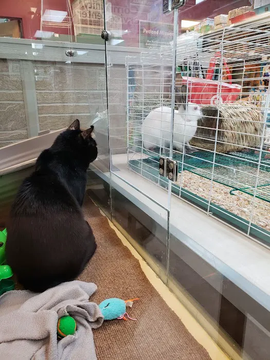 Petland Village of Eastside Picture 4