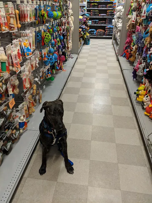 Petland Village of Eastside Picture 10