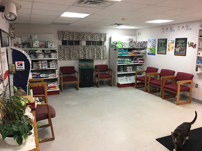 Animal Clinic of Warren Picture 8