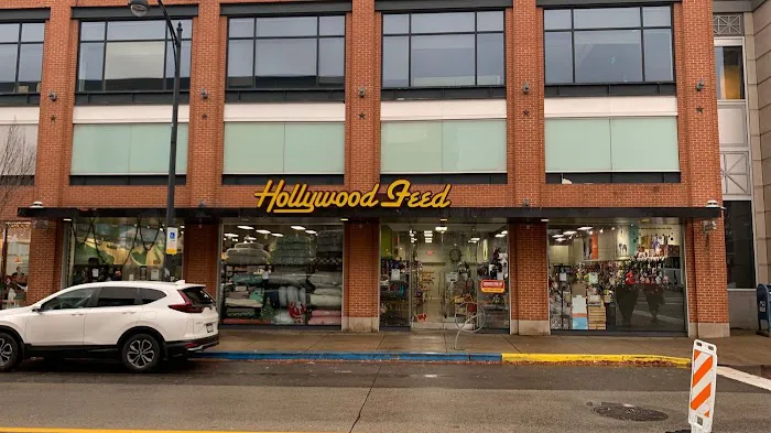 Hollywood Feed Picture 3