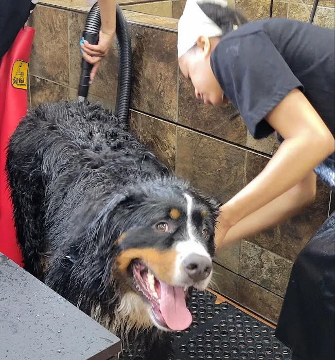 Hollywood Feed Picture 4