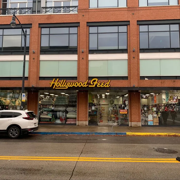 Hollywood Feed Picture 1