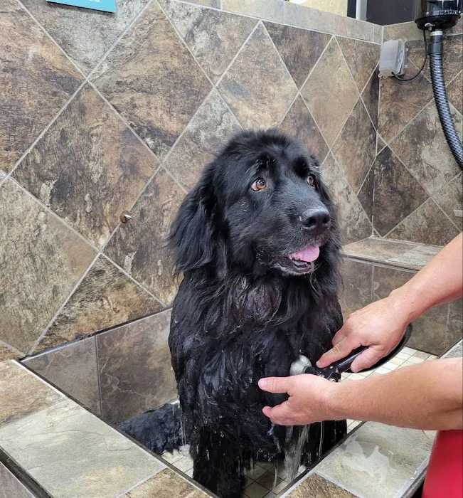 Hollywood Feed Picture 5