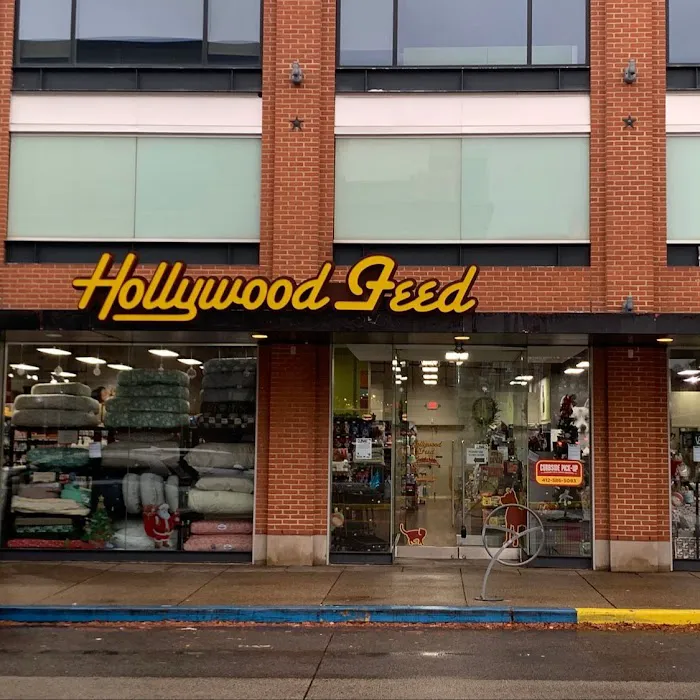 Hollywood Feed Picture 7