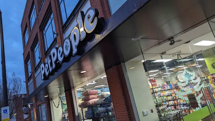 Hollywood Feed Picture 10