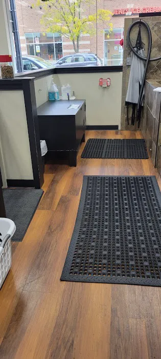 Hollywood Feed Picture 8