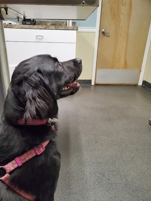 Bound Brook Veterinary Clinic Picture 6