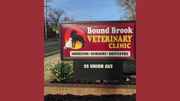 Bound Brook Veterinary Clinic Picture 10