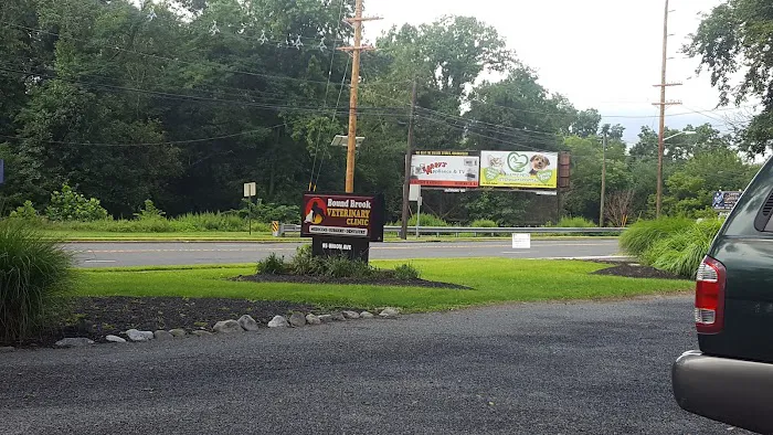 Bound Brook Veterinary Clinic Picture 9