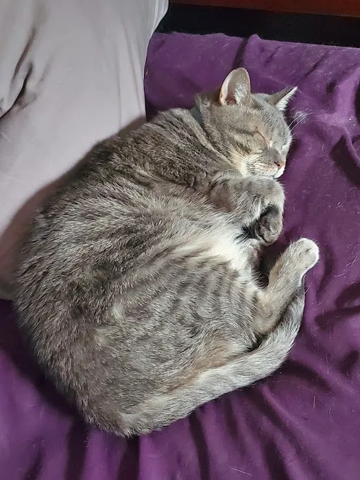 Pet Wants - South Hills Picture 2