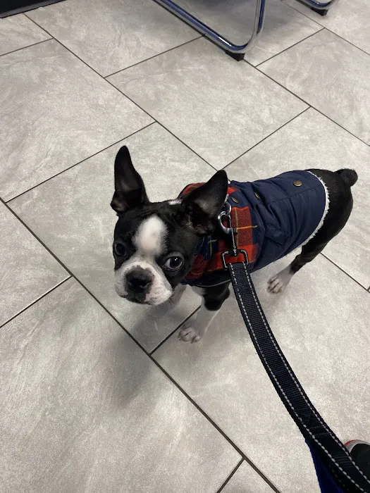 Happy Pets Veterinary Hospital, INC Picture 4