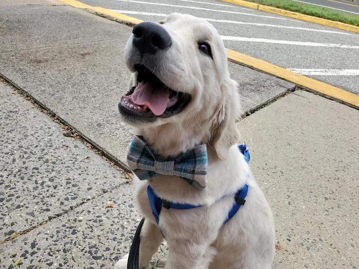 Happy Pets Veterinary Hospital, INC Picture 7