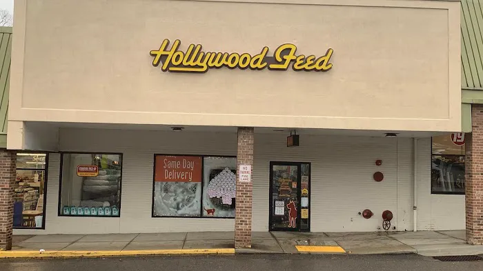 Hollywood Feed Picture 1