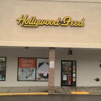 Hollywood Feed ico