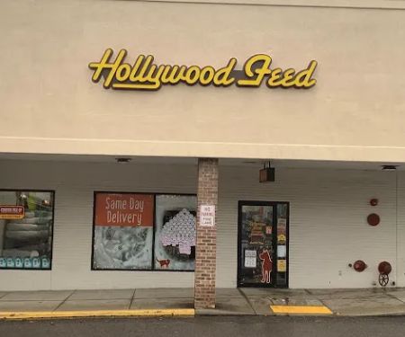 Hollywood Feed