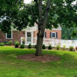 Meyersville Veterinary Group
