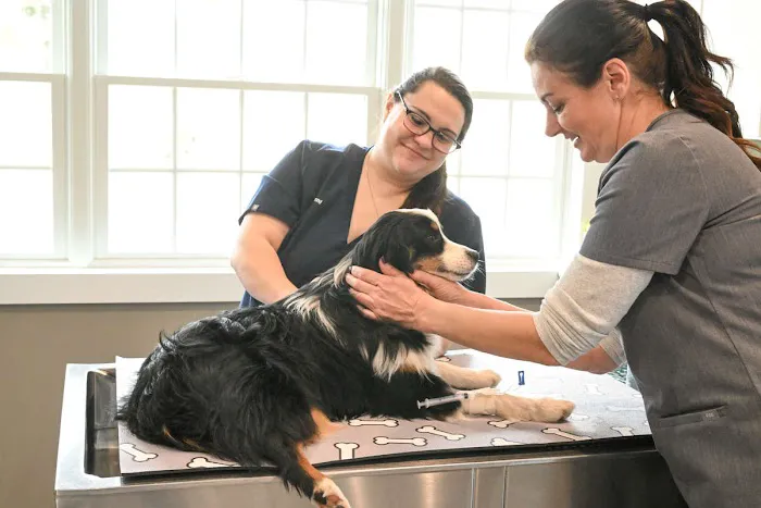 Symbios Animal Health Picture 2