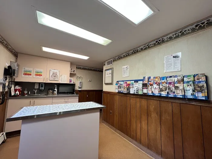 Madison Animal Hospital Picture 3