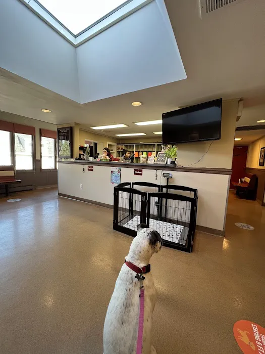 Madison Animal Hospital Picture 2