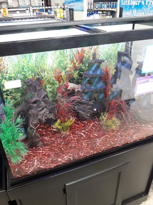 Elmer's Aquarium Picture 8