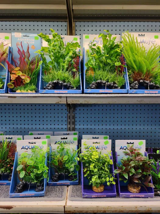 Elmer's Aquarium Picture 7