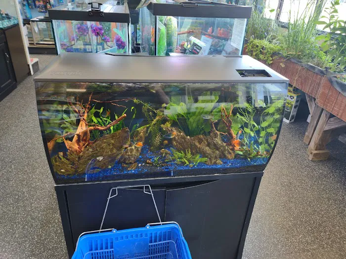 Elmer's Aquarium Picture 4