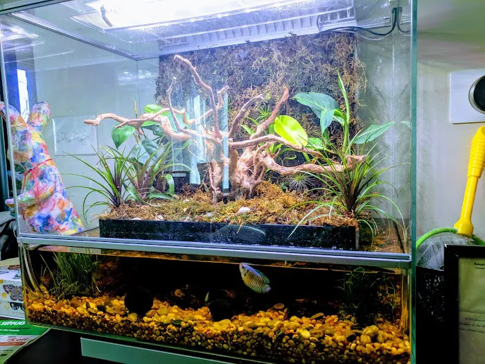 Elmer's Aquarium Picture 10