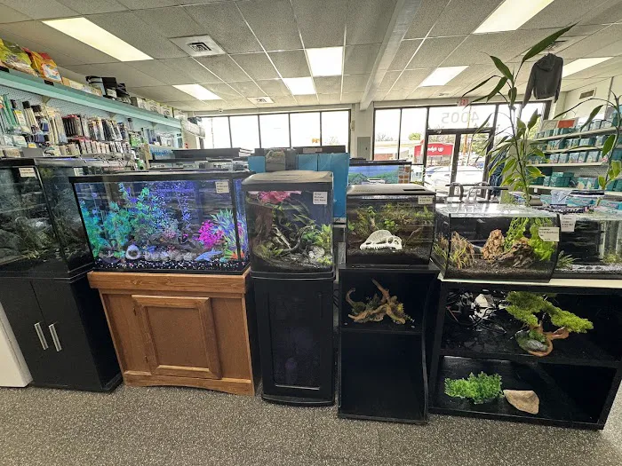 Elmer's Aquarium Picture 1