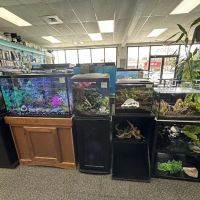 Elmer's Aquarium ico