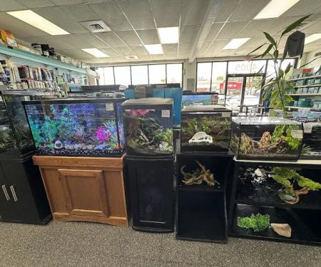 Elmer's Aquarium