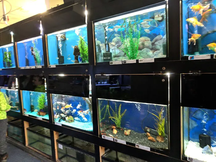 Elmer's Aquarium Picture 6