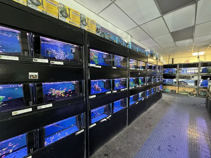 Elmer's Aquarium Picture 9