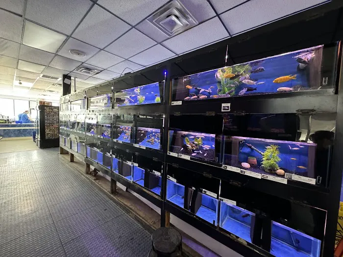 Elmer's Aquarium Picture 2