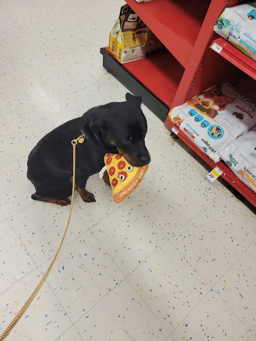 Petco Picture 1