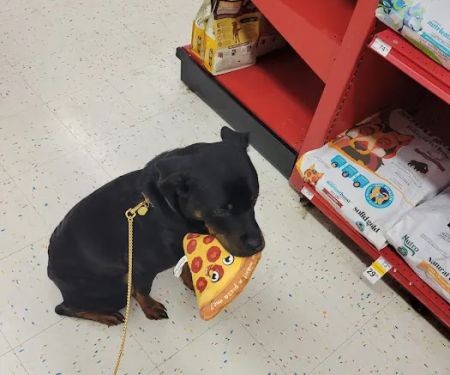 Petco