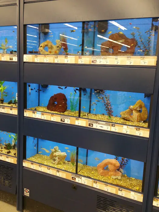 Petco Picture 3